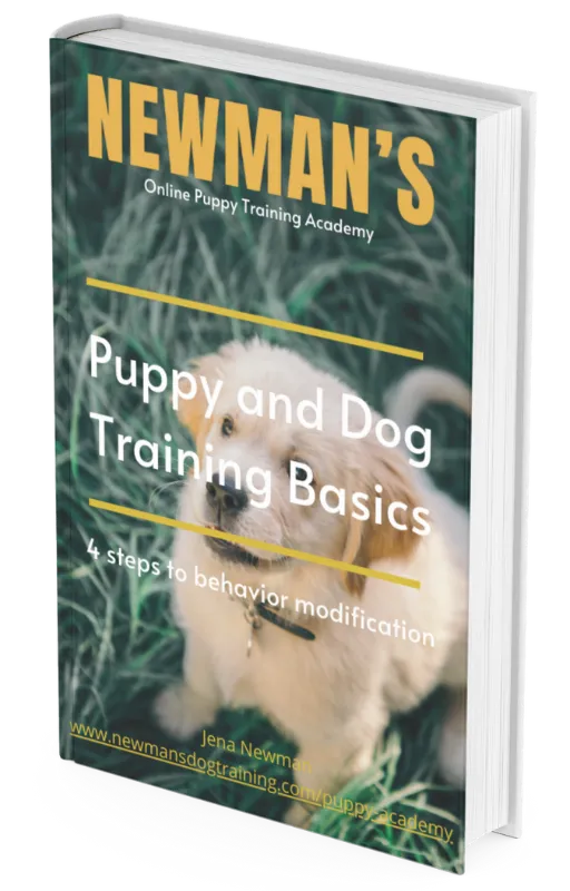Newman's Dog Training LLC FREE Dog and Puppy Training eBook cover