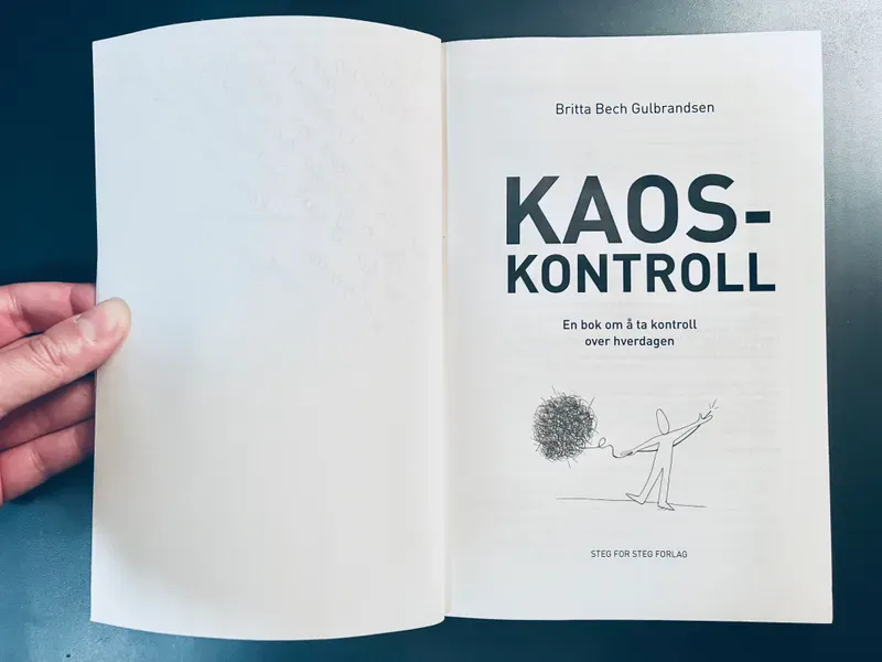 bianca-rathgeb-book-kaoskontroll-illustration