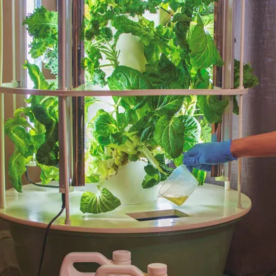 Adding Tower Garden mineral blend to reservoir for aeroponic gardening 