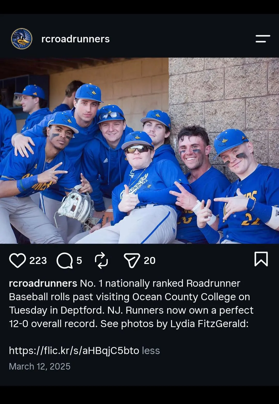 RCSJ Baseball
