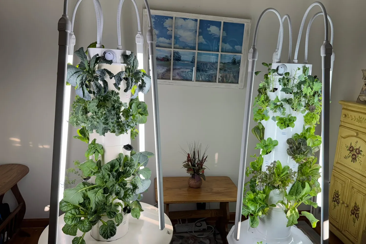 Two Tower Garden vertical hydroponic systems growing leafy greens indoors in a small space.