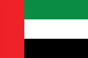 UAE flag