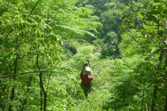 Incredible Panama - Activities Cana Jungle Adventures Zipline