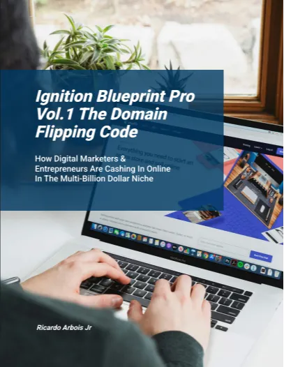 Ignition Blueprint Pro Vol:1 The Domain Flipping Code