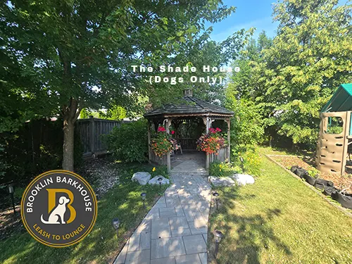 Brooklin Barkhouse yard showing the dog shade house