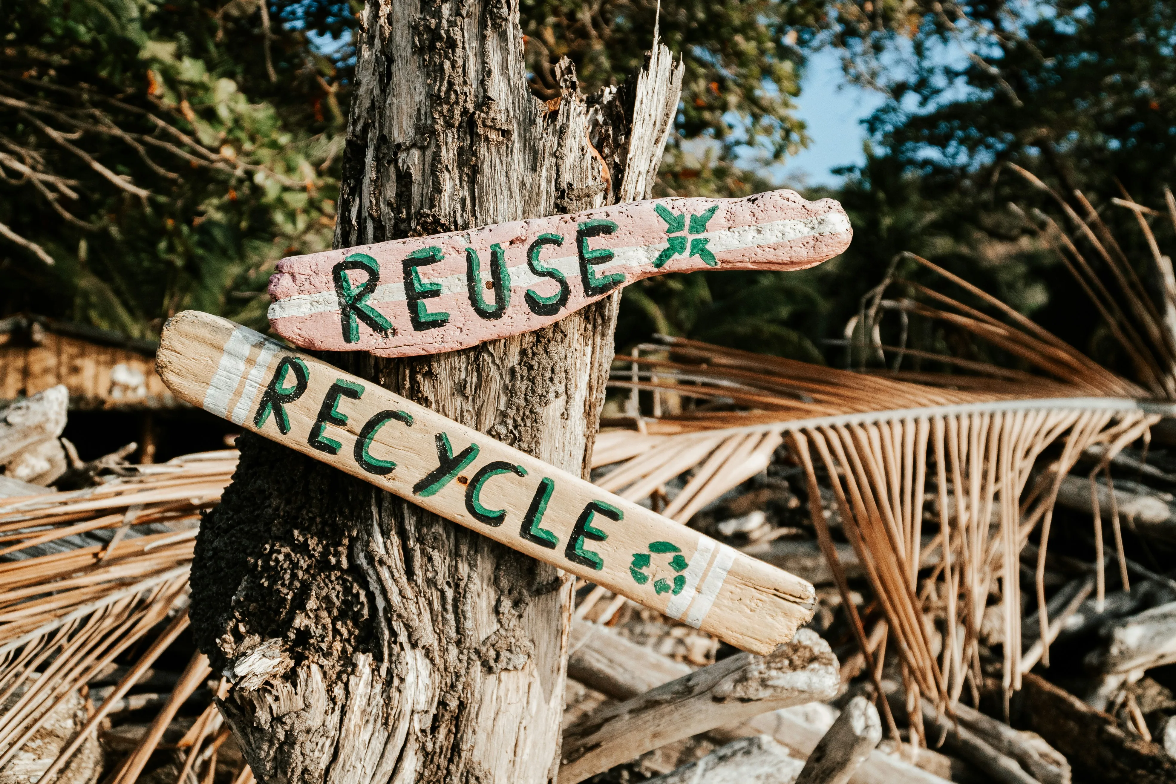 Green Housekeeping: A Path to a Cleaner, Greener Home