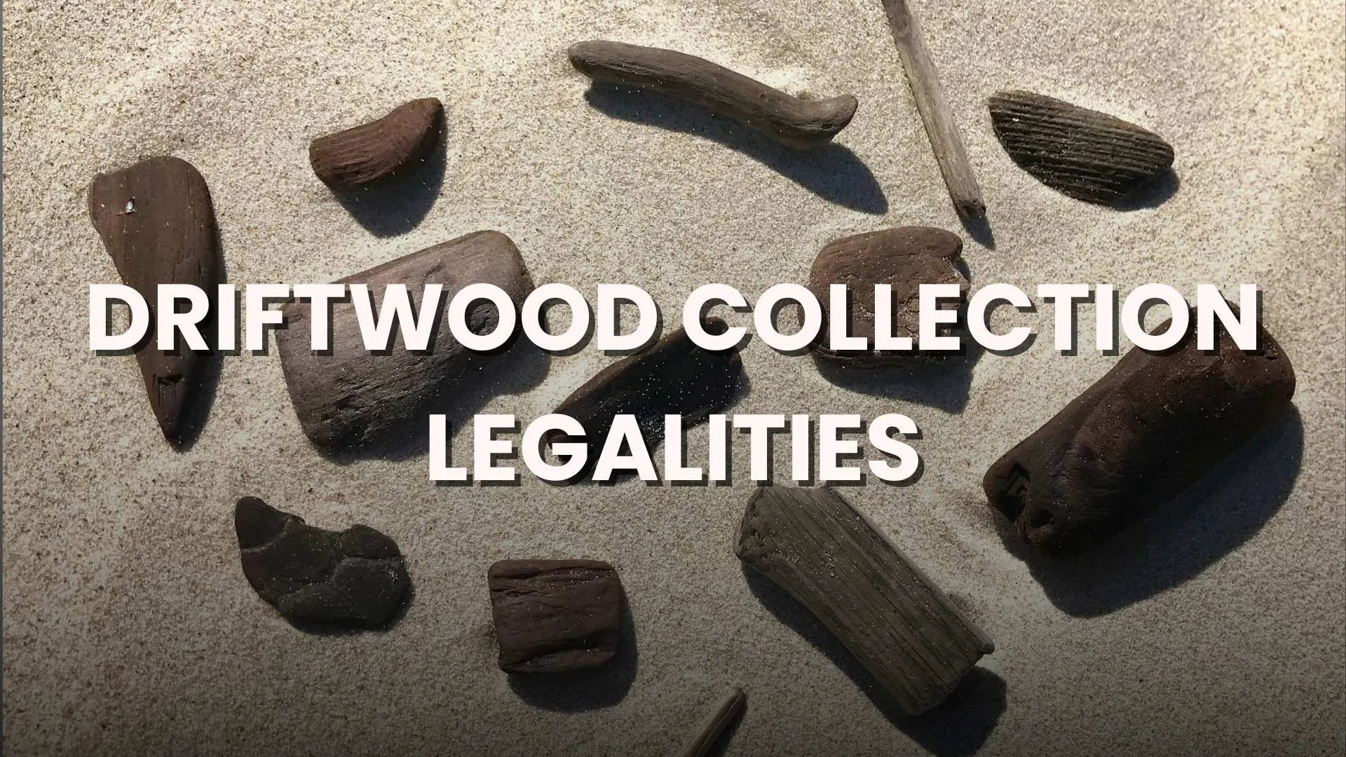 driftwood collecting laws