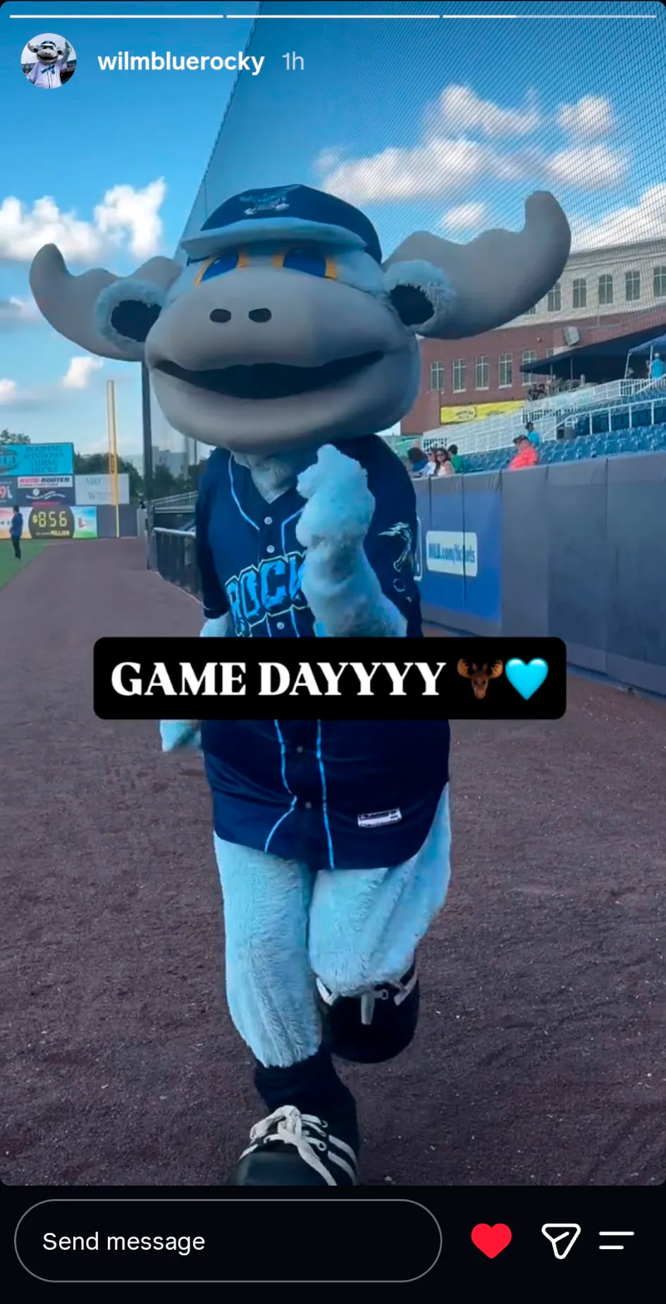Wilmington Blue Rocks Mascot Story