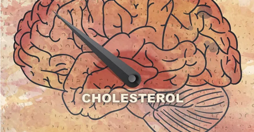 A brain with a measurement showing high levels of cholesterol.