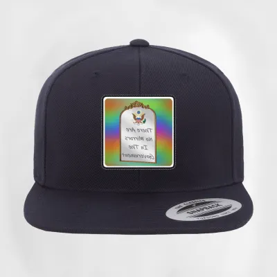 There are No Mirrors in Government reflection flat patch hat