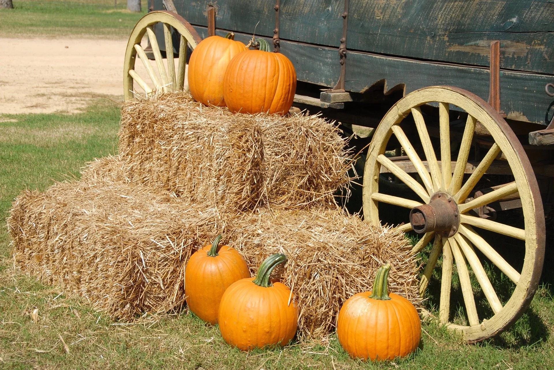 Autumn wagon with pumpkins