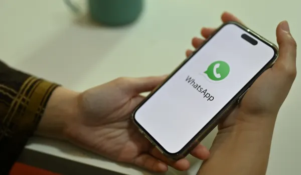 whatsapp marketing in indri