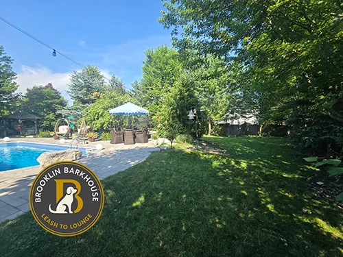 Brooklin Barkhouse yard showing open space and a pool on the left