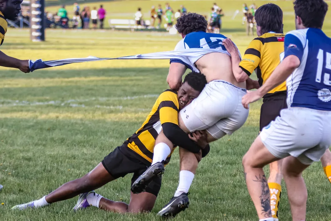A color photograph of a rugby game that shows the brutality of the game where the ball carrier is in the midst of getting tackled while his jersey is being torn off