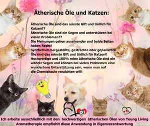 Ätherische Öle und Katzen