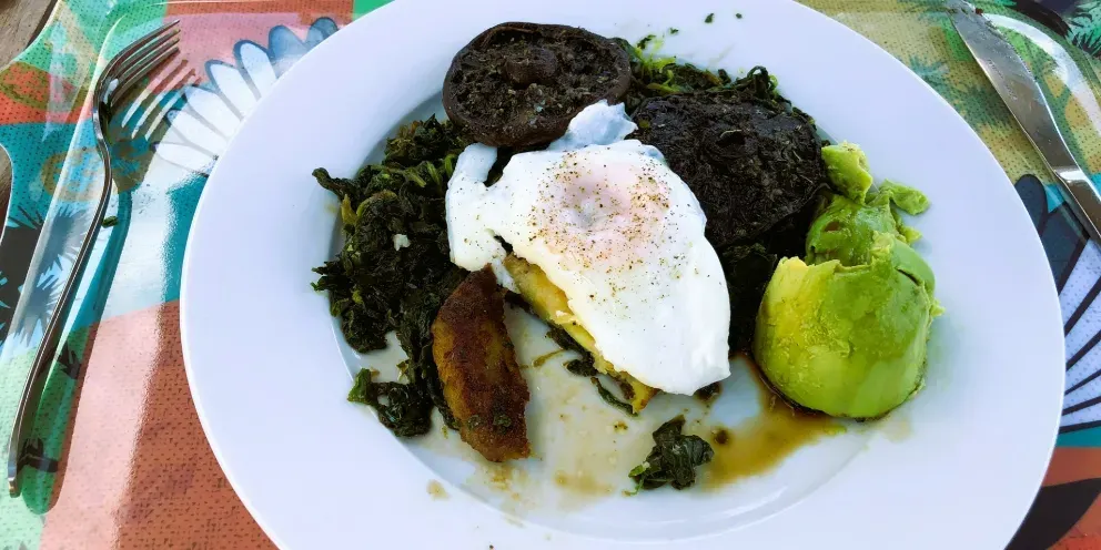 Plate of Dr. Gundry Plant Paradox breakfast with poached egg, avocado, sausage and sauteed greens