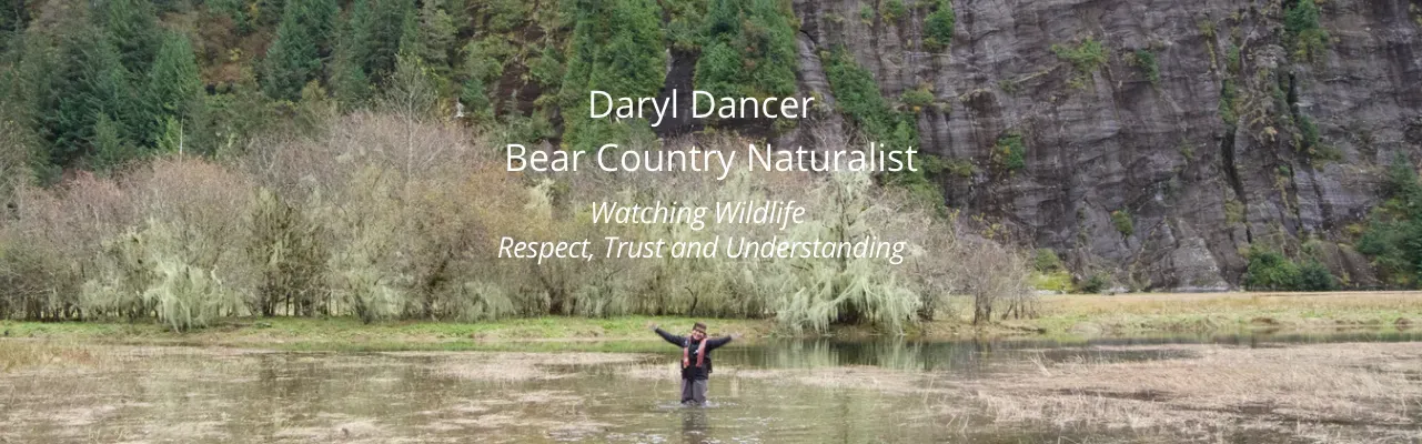 Bear Country Naturalist