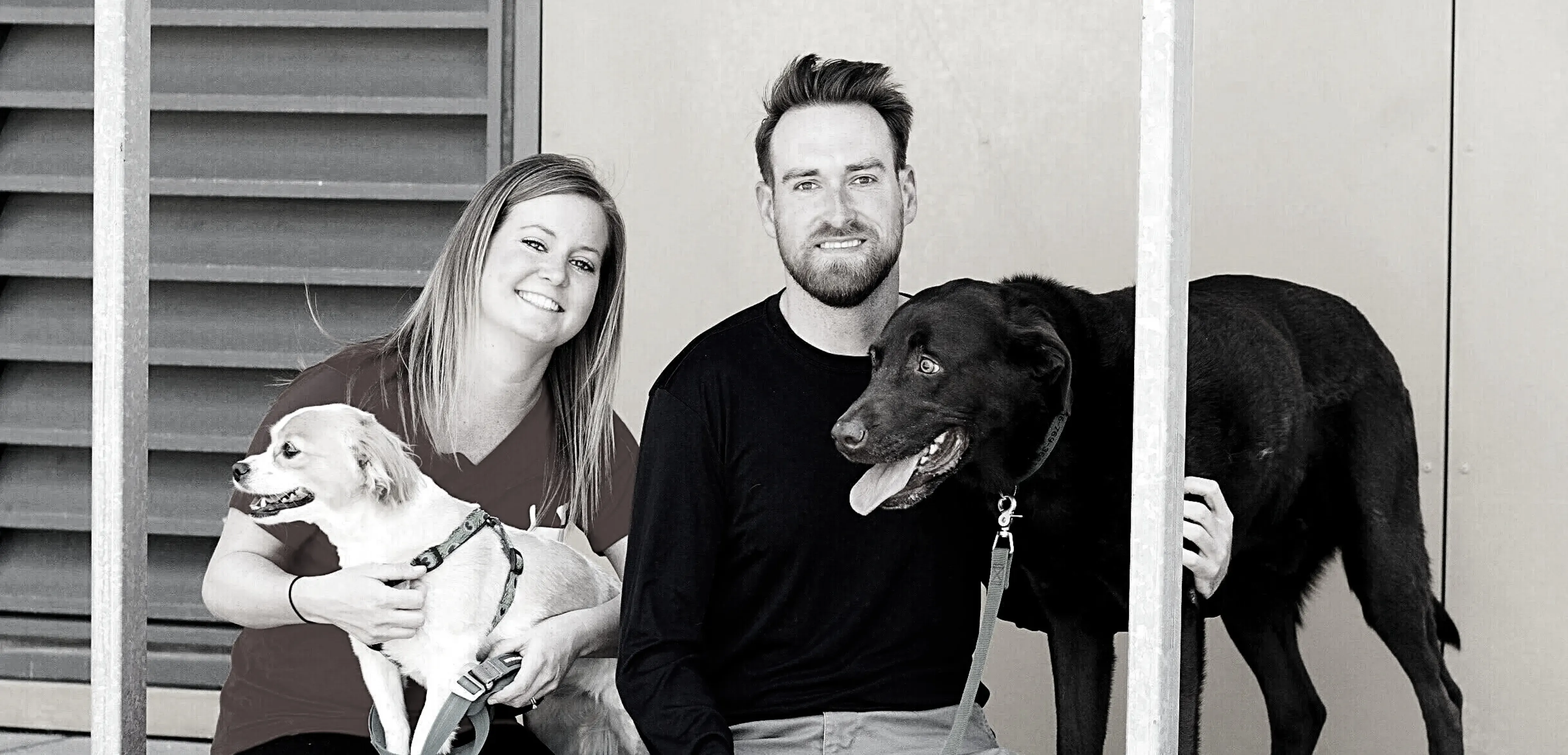 Jena and Derek Newman, founders of Newman's Dog Training, smiling with their two dogs — a small white mixed breed and a large chocolate Labrador — representing their commitment to positive, relationship-based dog training in Kansas City and Northwest Arkansas.