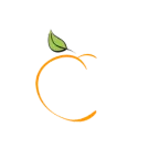 nutricionista,em,cacoal,vilhena.rondonia,briany,soares