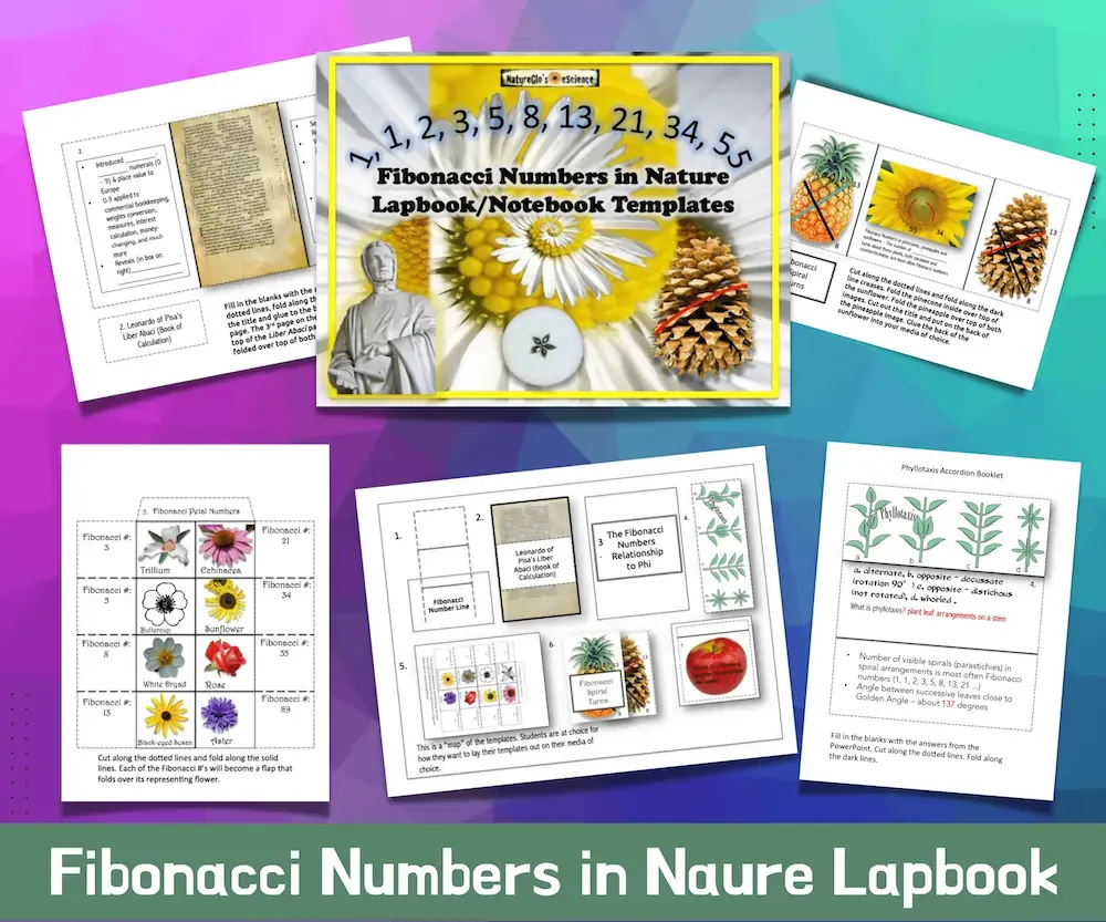 Fibonacci Numbers in Nature Lapbook Template
