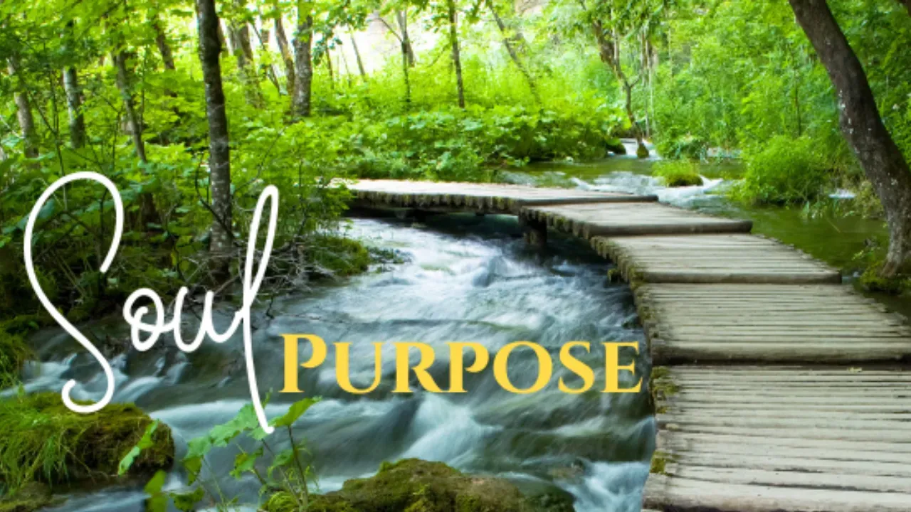 Soul Purpose Live Event Belinda Womack