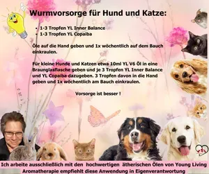 Wurmvorsorge Hund und Katze