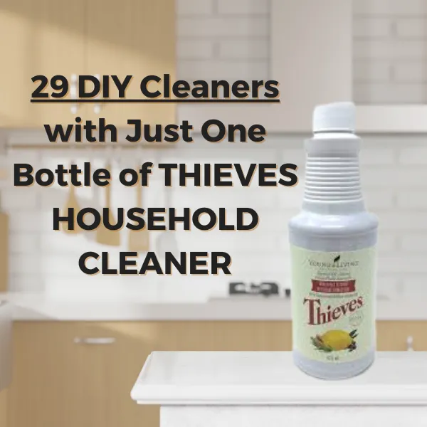 29 DIY Cleaners