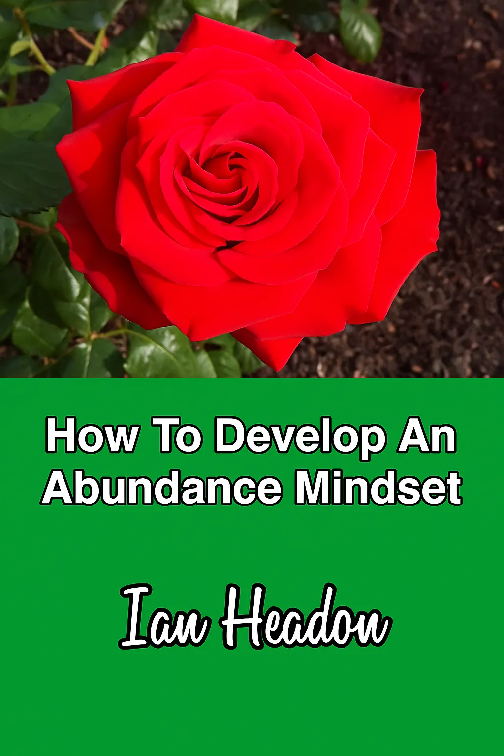 Front Cover Of My Book 'How To Develop An Abundance Mindset', Featuring a red rose on a green background