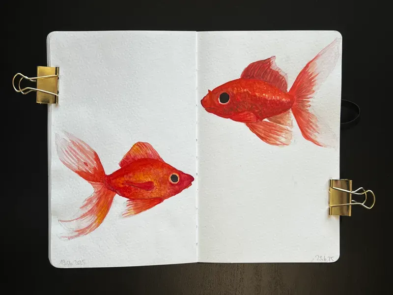 bianca-rathgeb-goldfisch-illustration