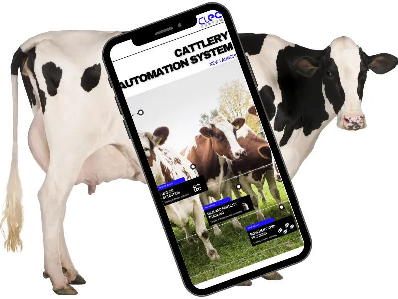 Cattle Automation