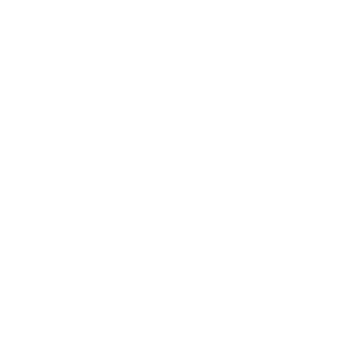 The Shapiro Law Firm, LLC