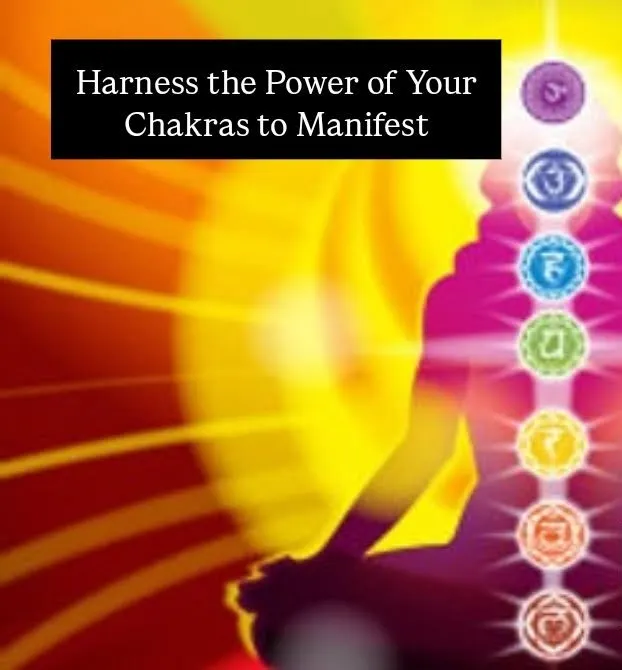 Human Being meditation with Whole Brain Magic