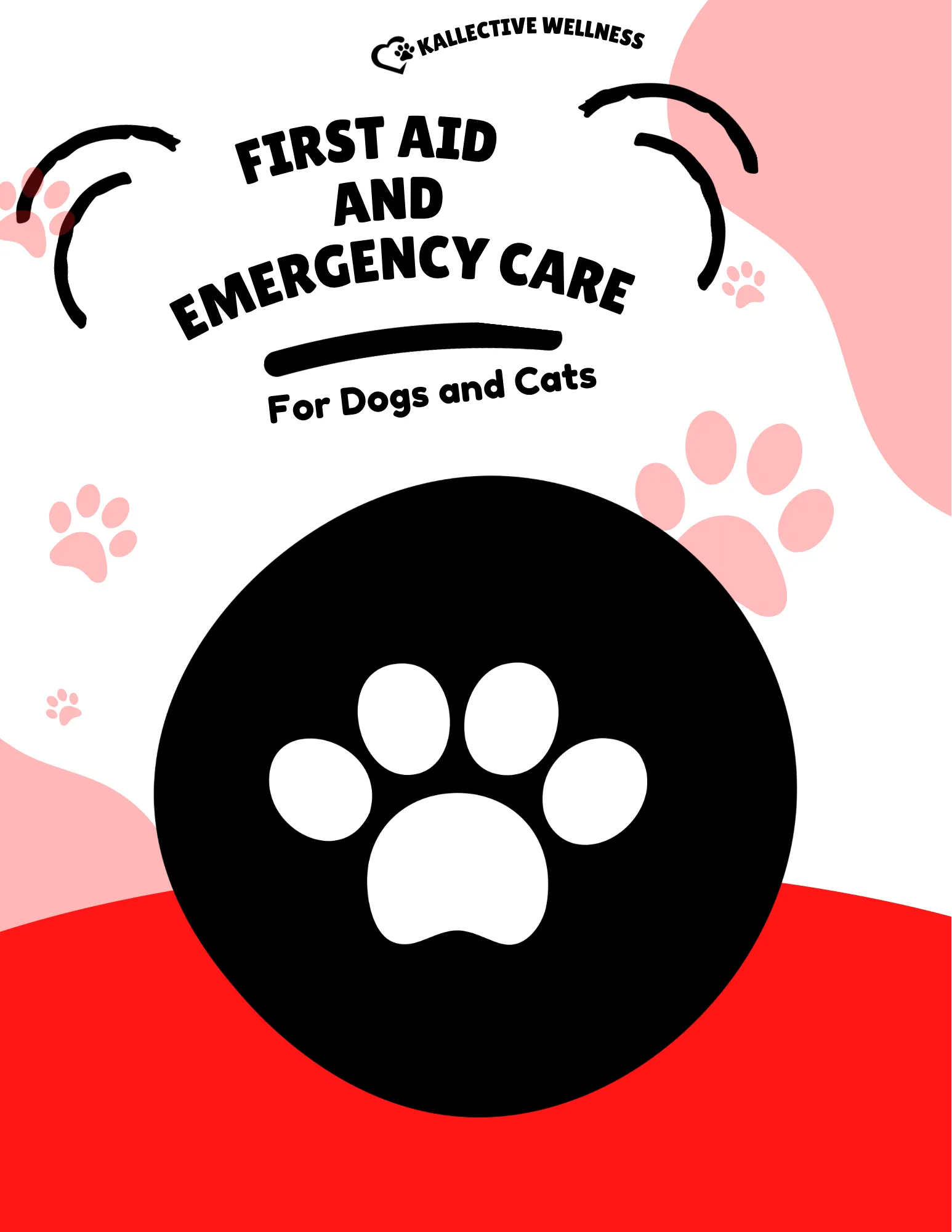 First Aid and Emergency Care guide for dogs and cats