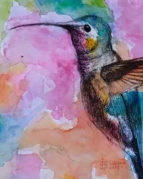 Zookromía - Carboncillo - Colibrí