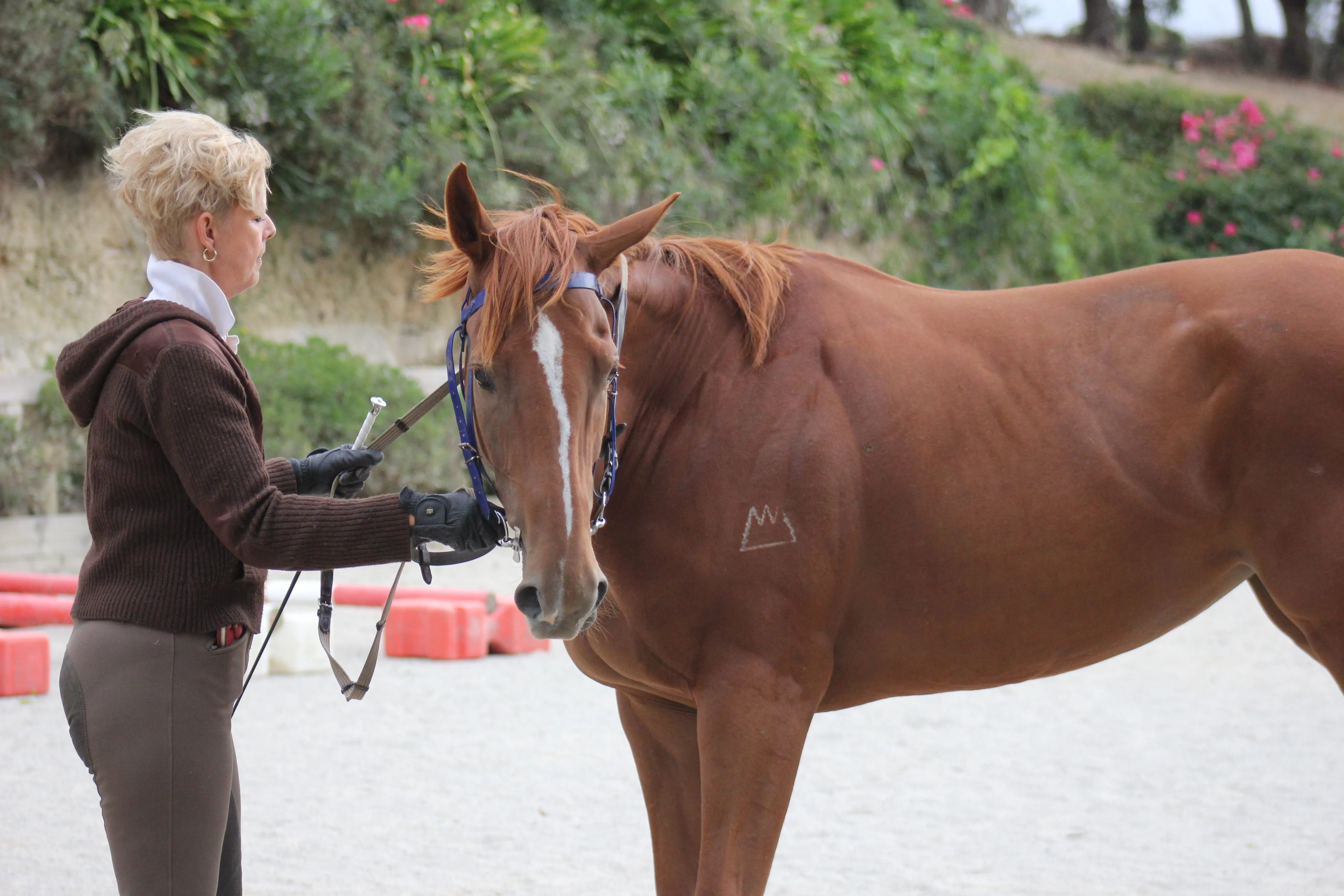 Leanne taking Maggie through our mouthing process to encourage relaxation and bend