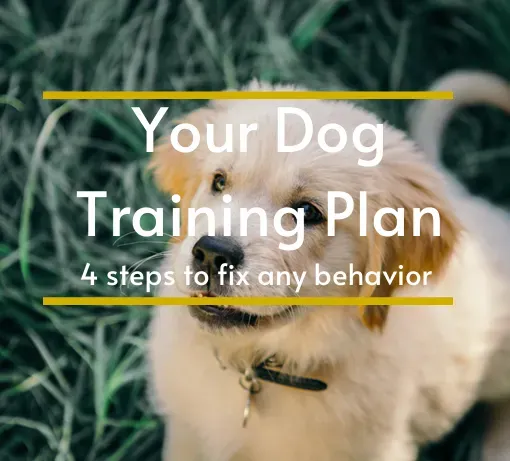 Dog training plan ebook cover with puppy, showing step by step behavior training system