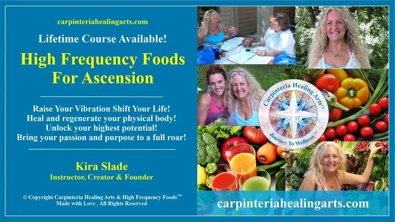 High Frequency Foods Course Description