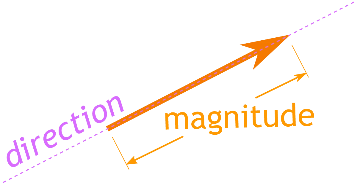 scalars and vectors images