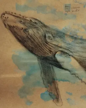 Zookromía - Grafito - Ballena