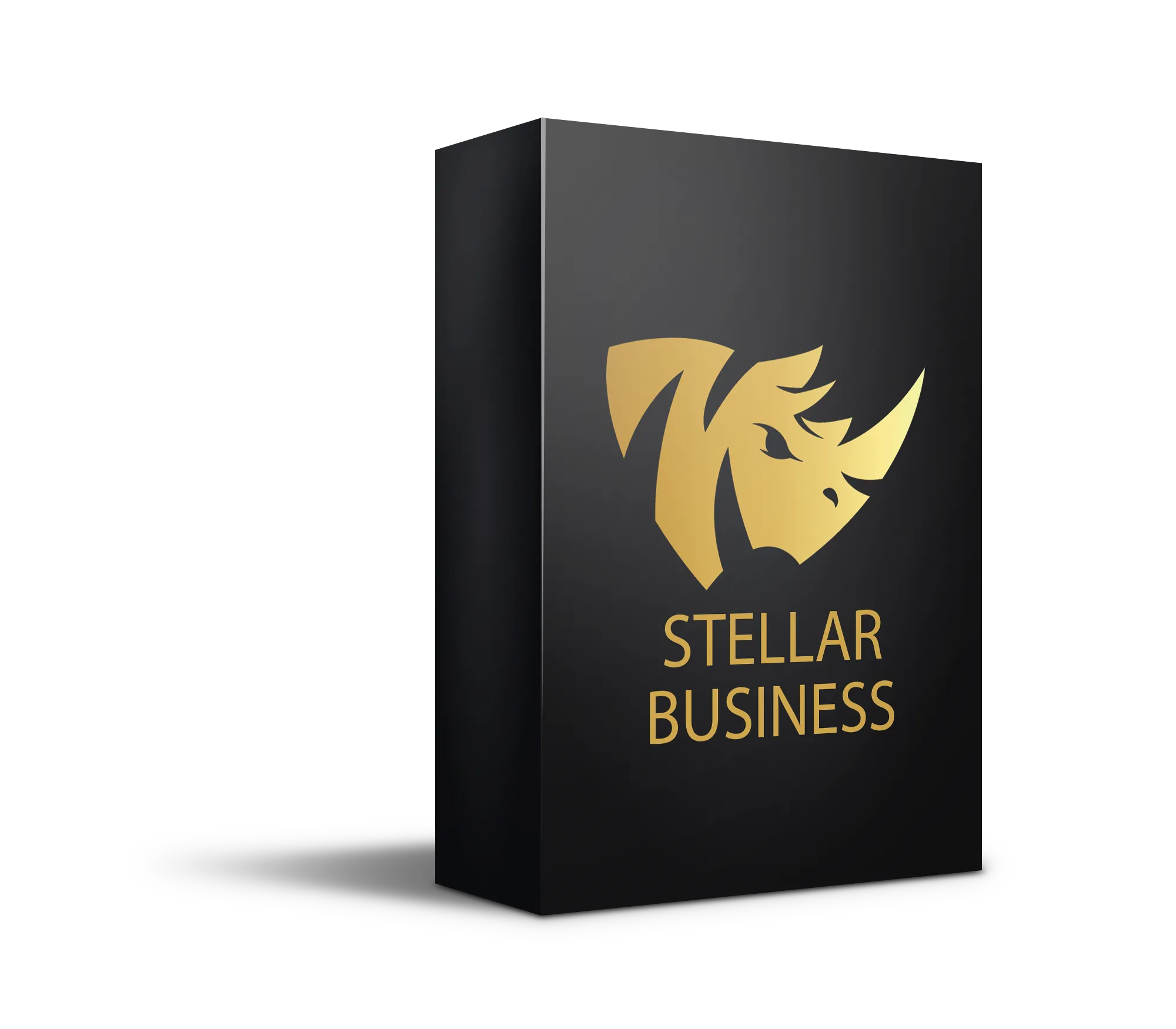 stellar business