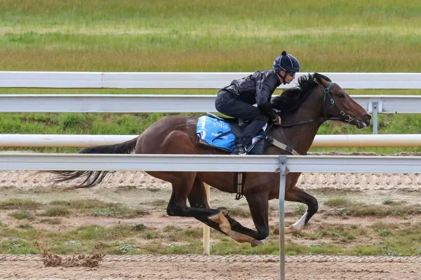 Call Me Gorgeous — debut Randwick winner by 4 lengths, sold to Hong Kong