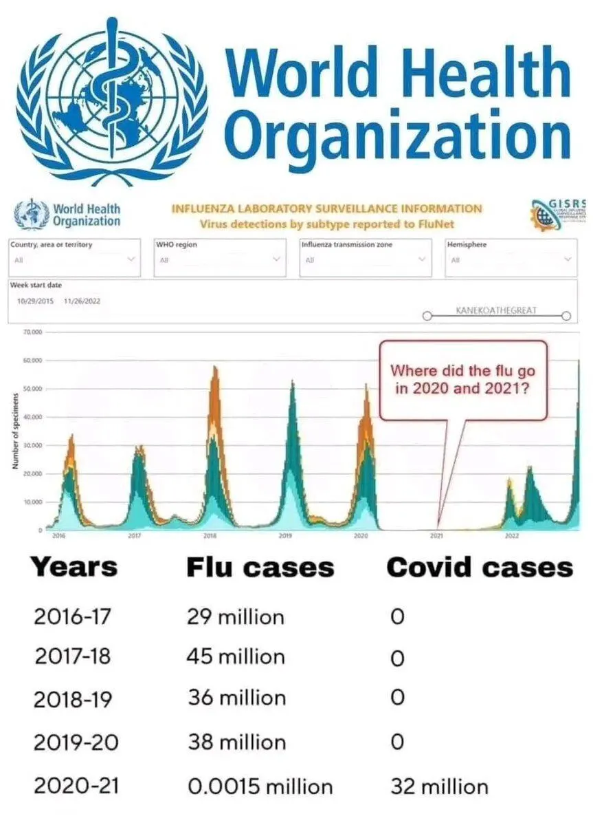 Flu disappeared during Covid