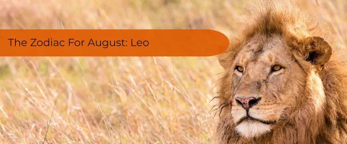 Zodiac Signs And Dates: Leo, The Zodiac Sign For August