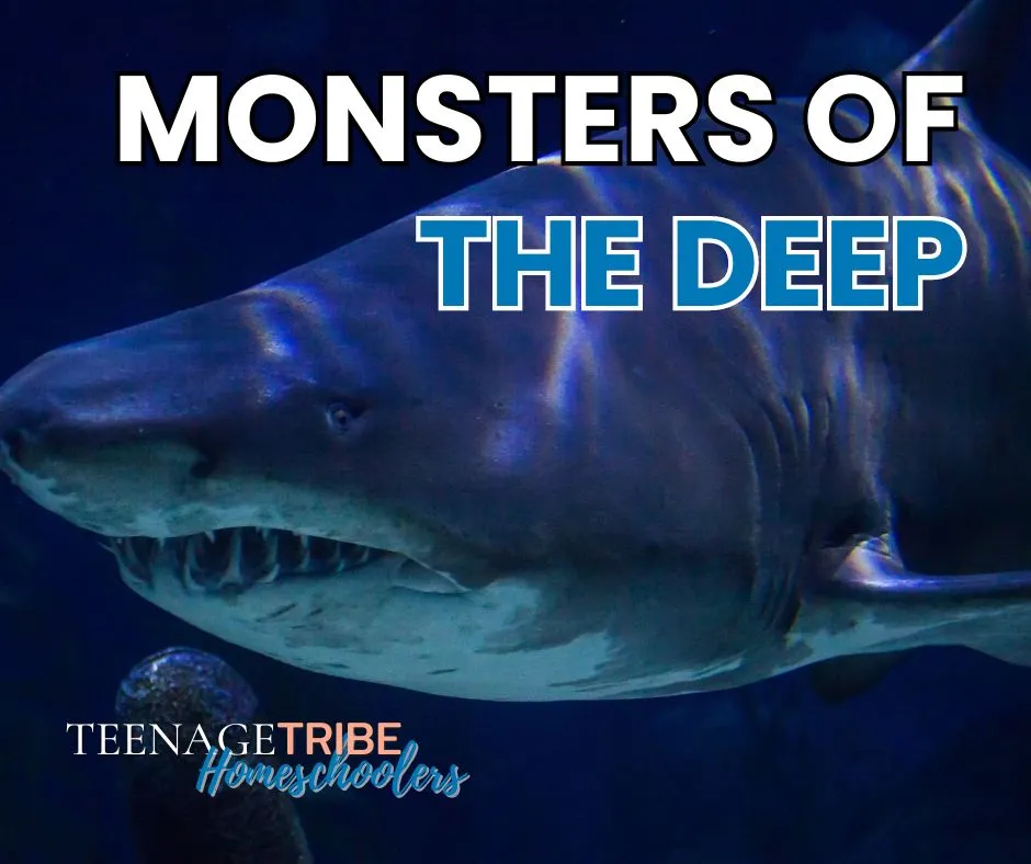 monsters-of-the-deep-south-jersey-co-op-class