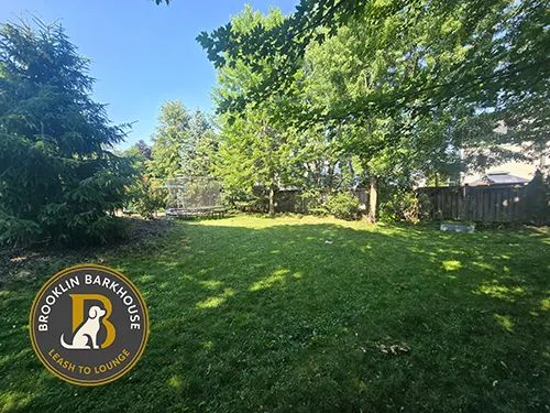 Brooklin Barkhouse yard showing green open spaces 