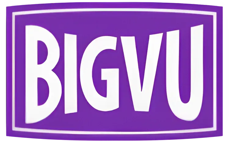 logotipo-de-Bigvu