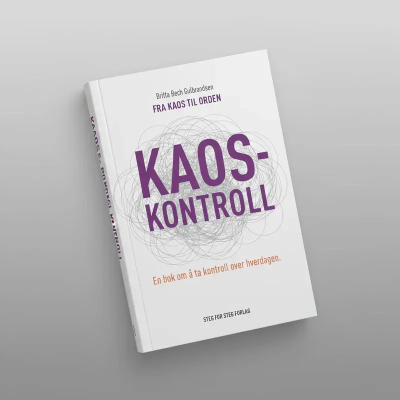 bianca-rathgeb-book-kaoskontroll-illustration