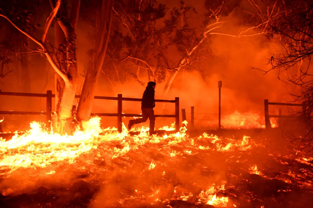 The Devastating Impact of the Los Angeles Wildfires