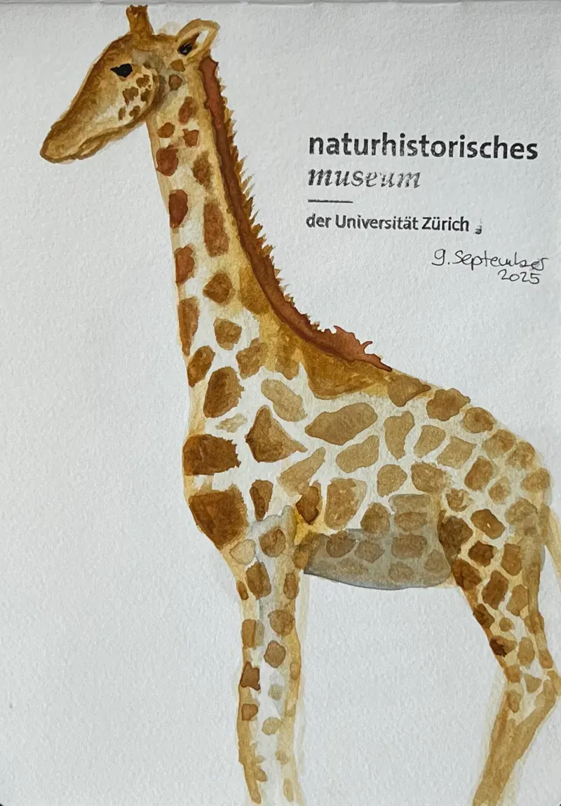 bianca-rathgeb-giraffe-illustration