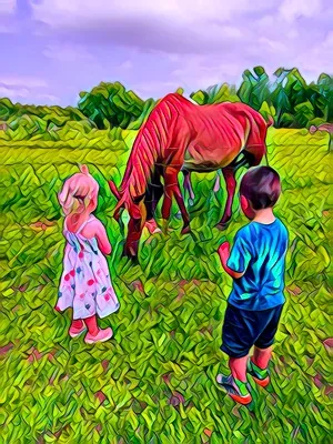 kids curiosity of horses